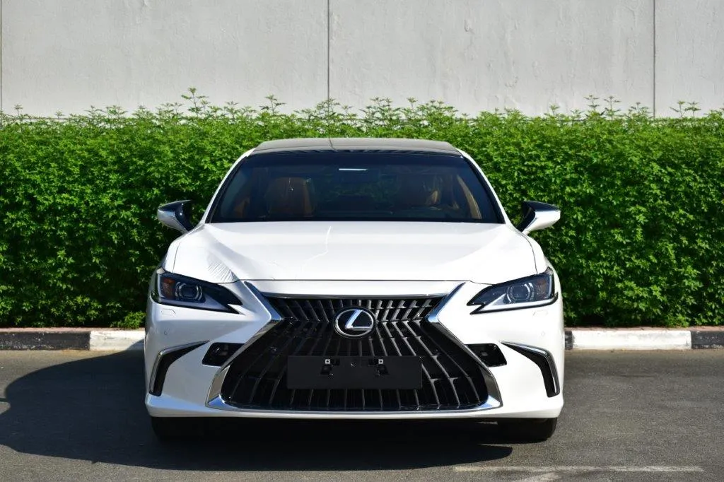 Sahara Motors branded car exporter